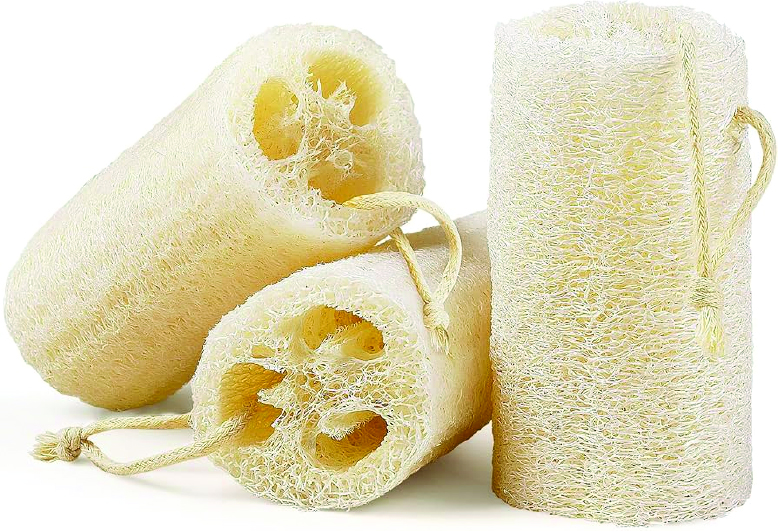 loofah